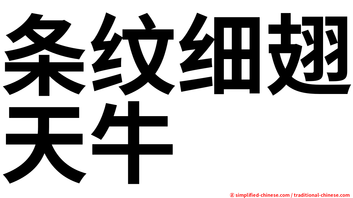 条纹细翅天牛