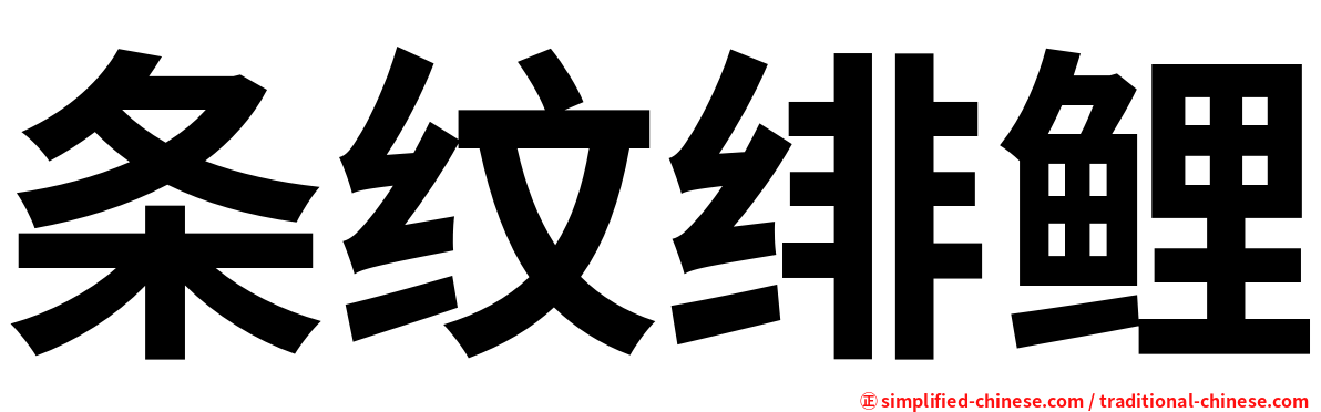 条纹绯鲤