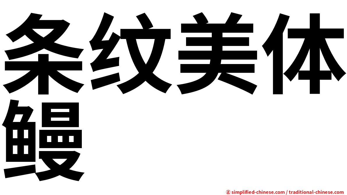 条纹美体鳗