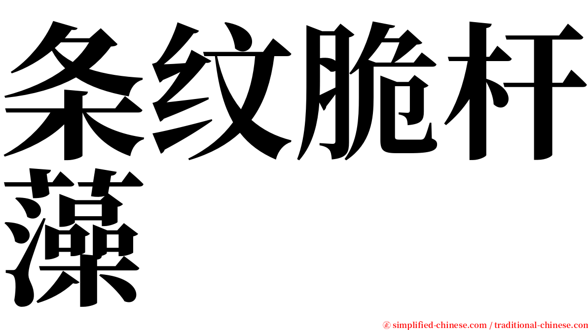 条纹脆杆藻 serif font