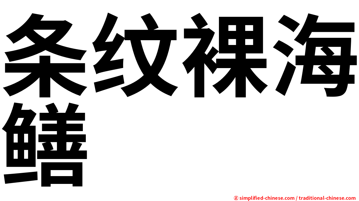 条纹裸海鳝