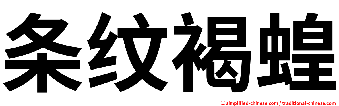 条纹褐蝗