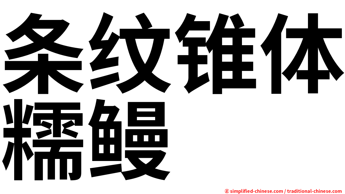 条纹锥体糯鳗
