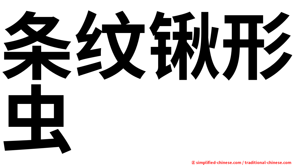 条纹锹形虫