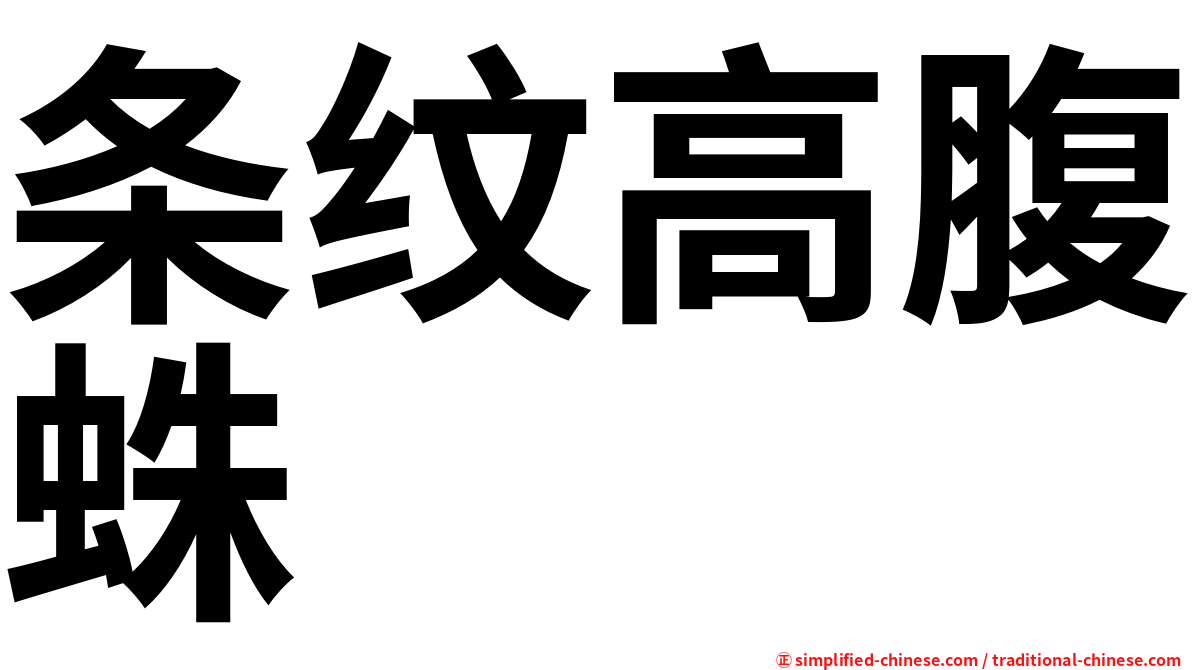 条纹高腹蛛