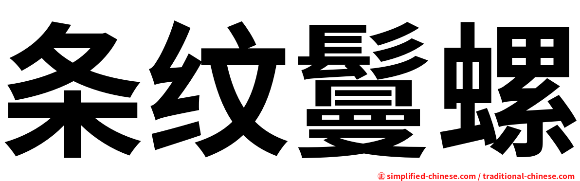 条纹鬘螺