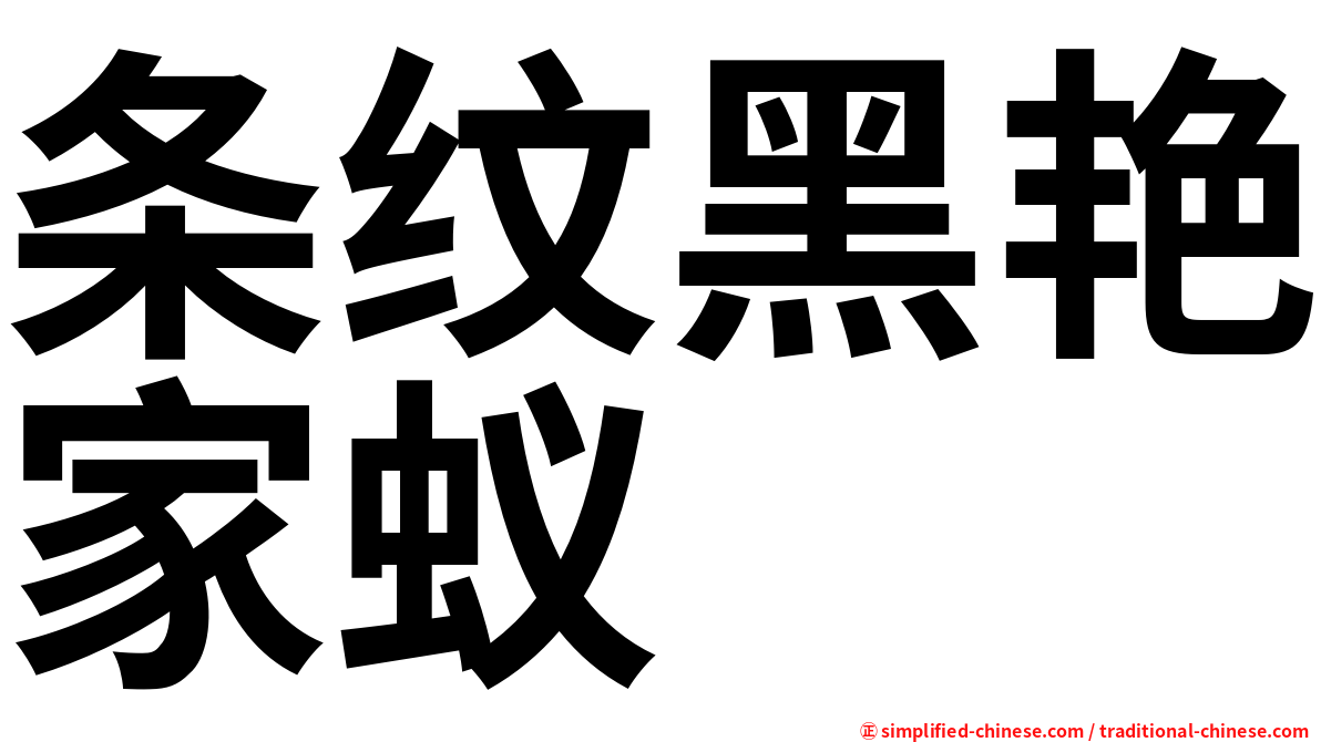条纹黑艳家蚁