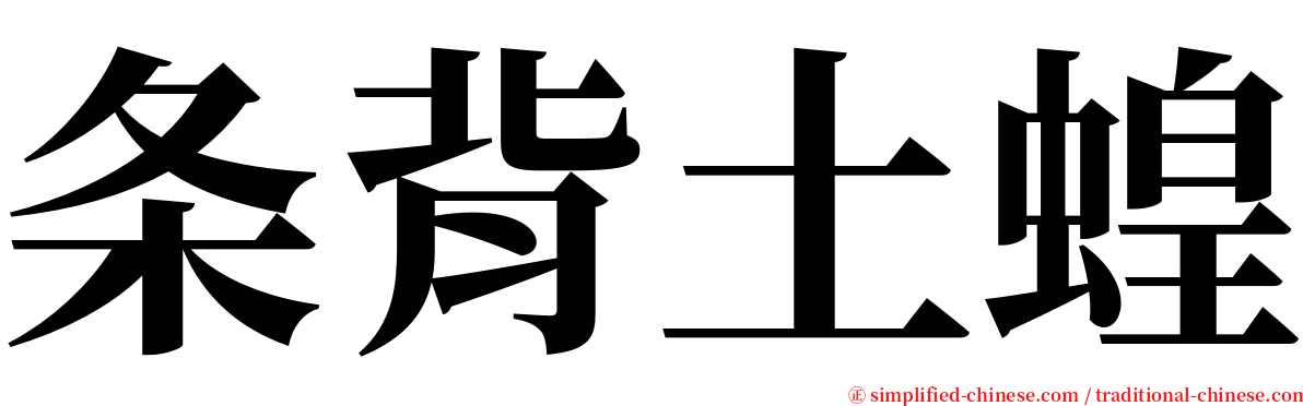 条背土蝗 serif font