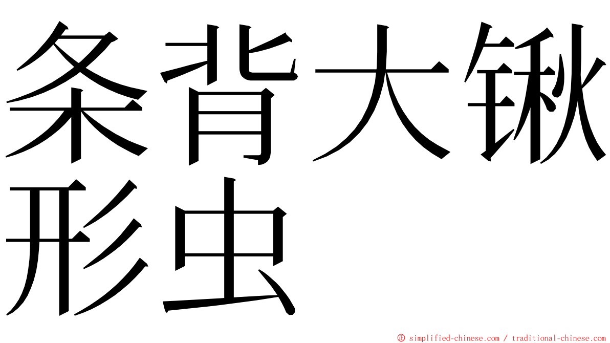 条背大锹形虫 ming font