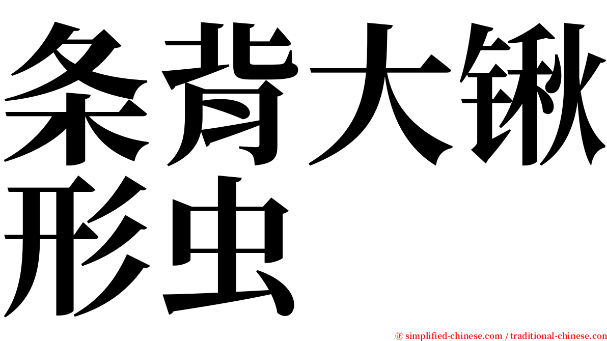 条背大锹形虫 serif font