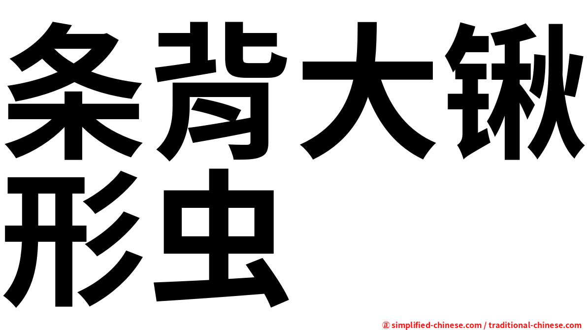 条背大锹形虫