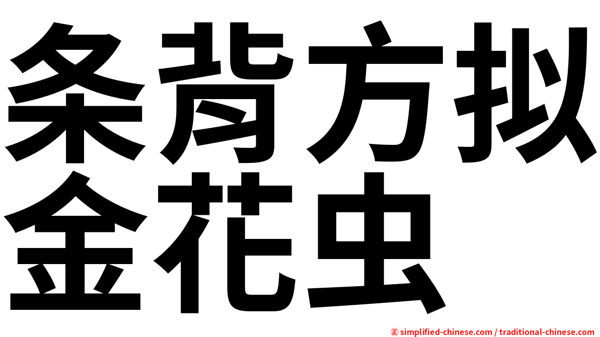 条背方拟金花虫