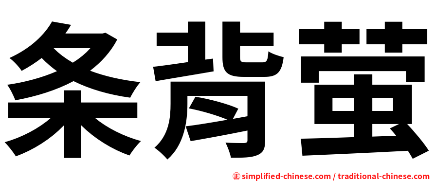 条背萤