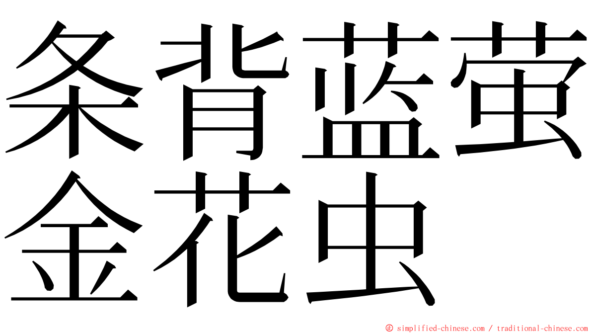 条背蓝萤金花虫 ming font