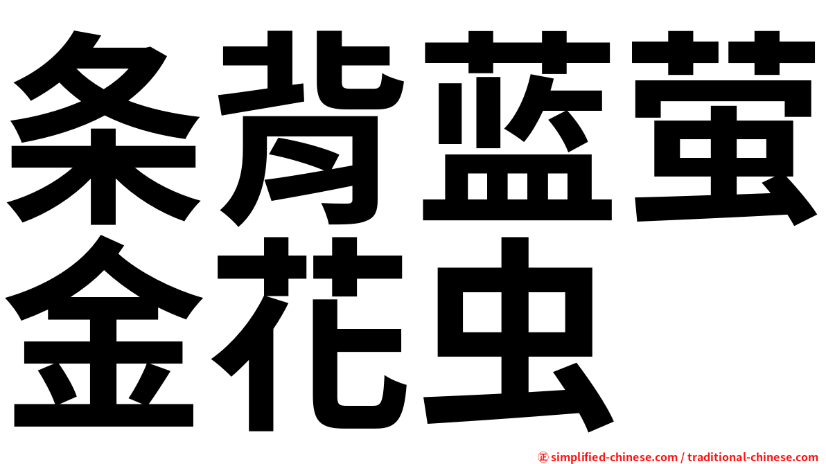 条背蓝萤金花虫