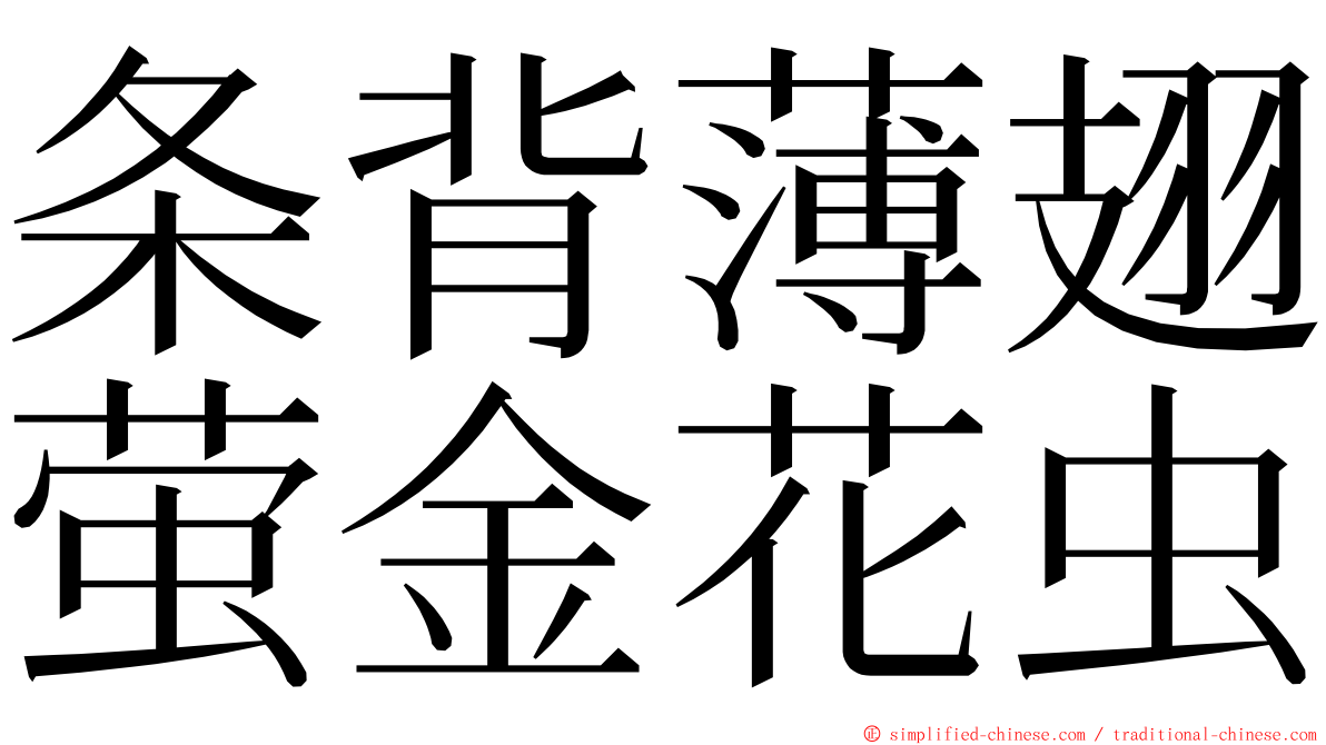 条背薄翅萤金花虫 ming font