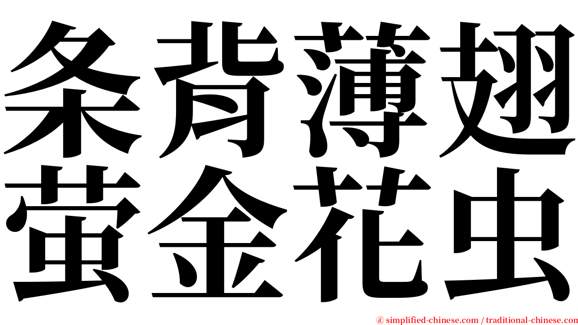 条背薄翅萤金花虫 serif font