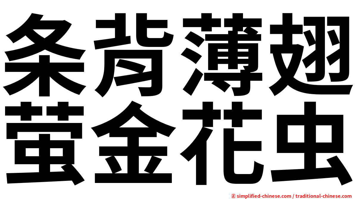 条背薄翅萤金花虫