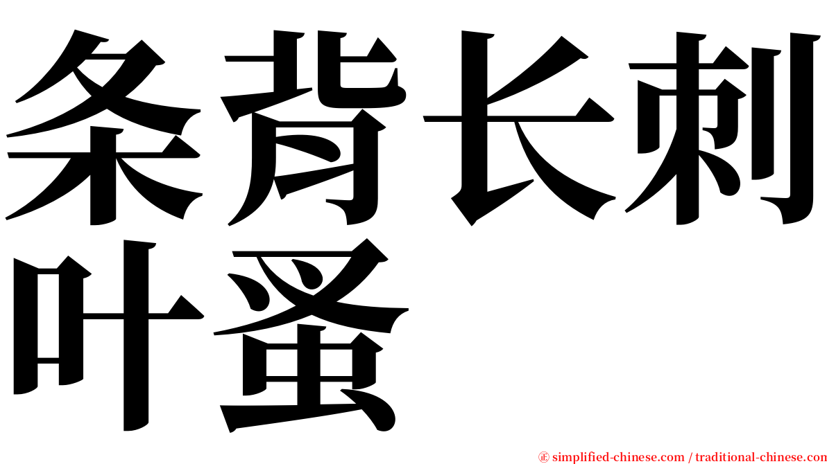 条背长刺叶蚤 serif font