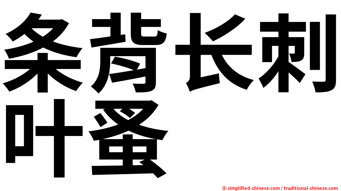 条背长刺叶蚤