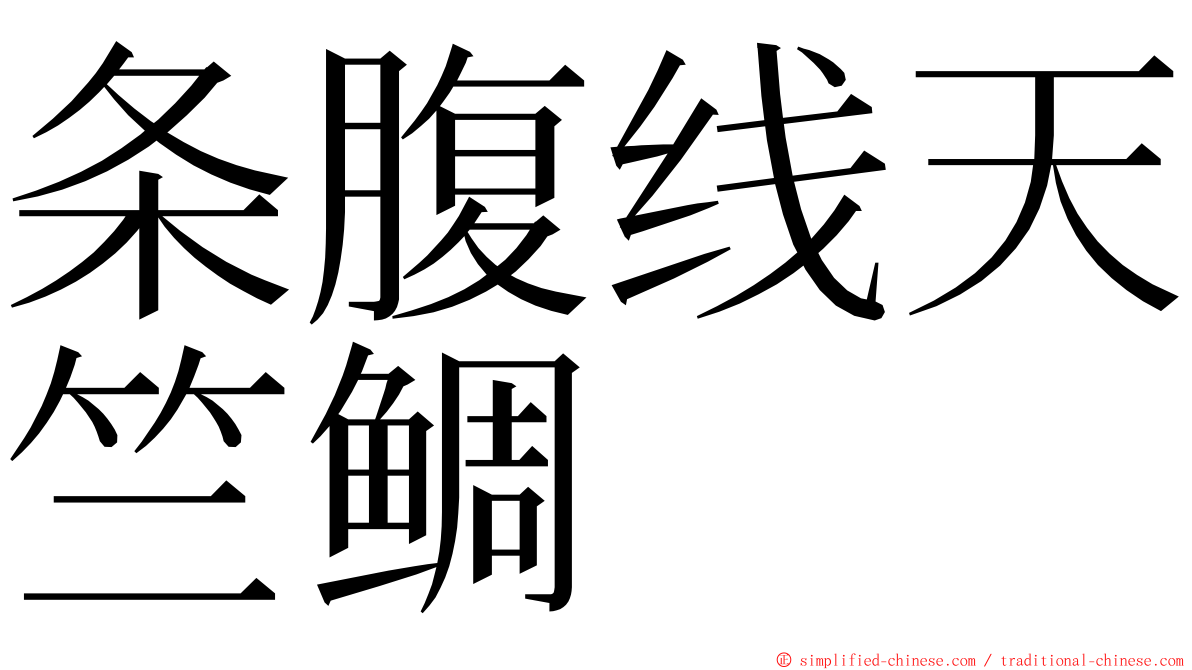 条腹线天竺鲷 ming font