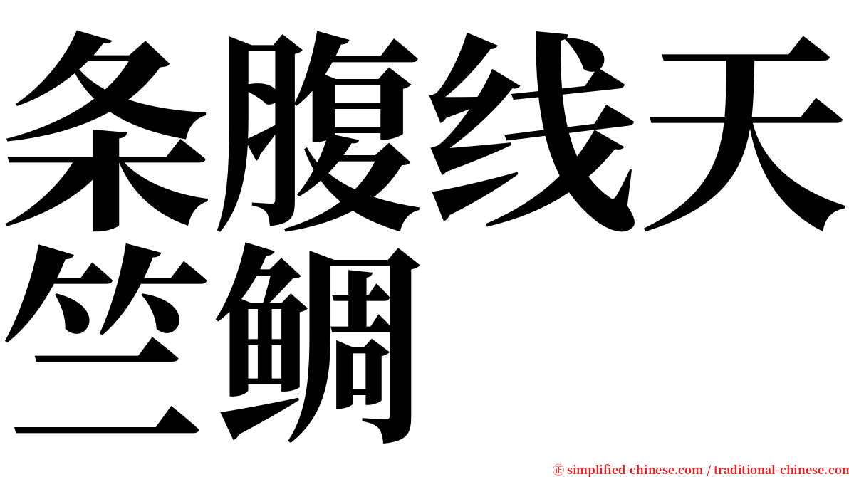 条腹线天竺鲷 serif font