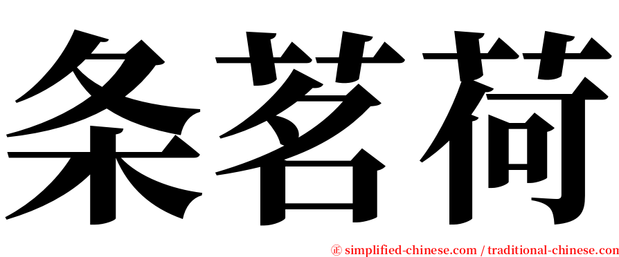 条茗荷 serif font