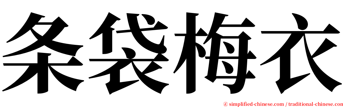 条袋梅衣 serif font