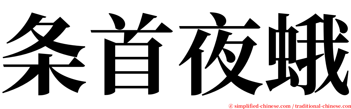 条首夜蛾 serif font