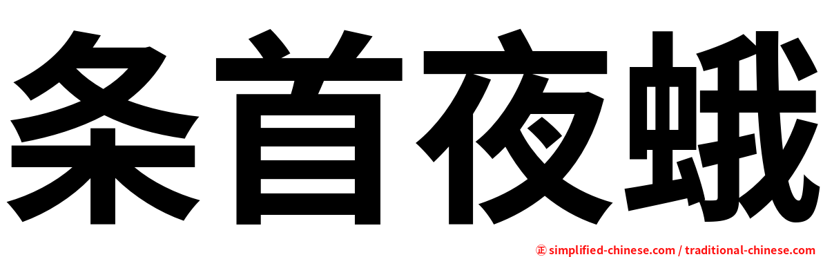 条首夜蛾