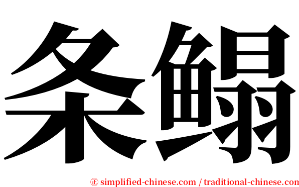 条鳎 serif font