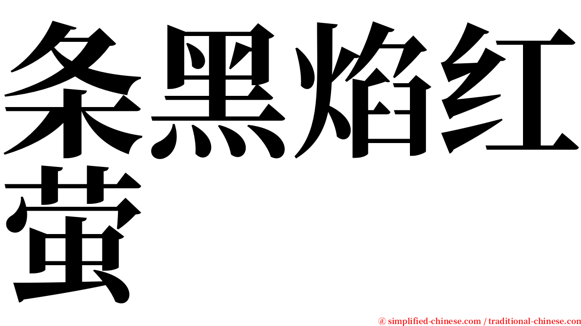 条黑焰红萤 serif font