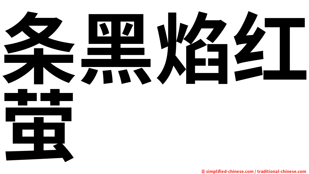 条黑焰红萤