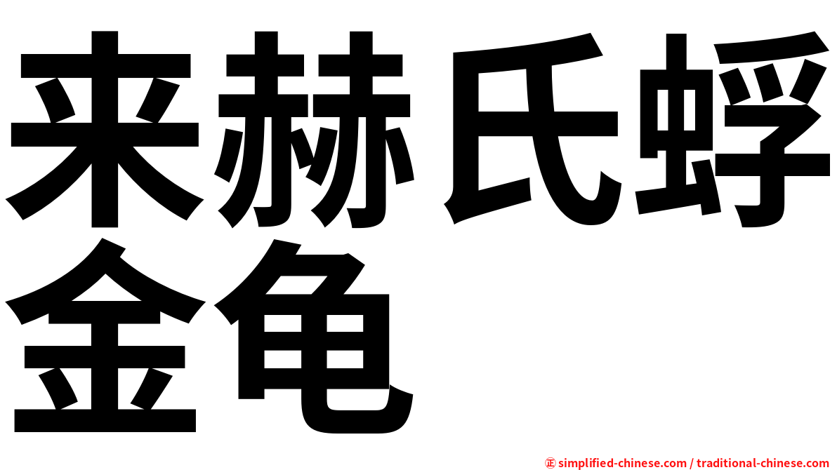 来赫氏蜉金龟