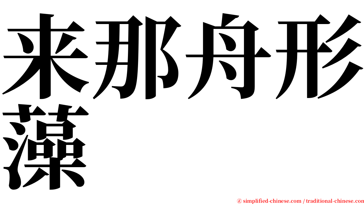 来那舟形藻 serif font