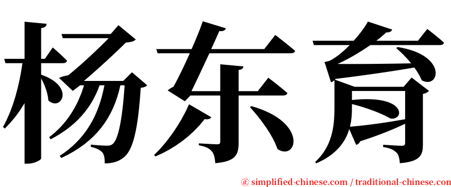 杨东育 serif font