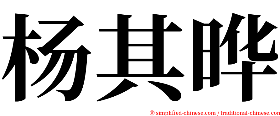 杨其晔 serif font