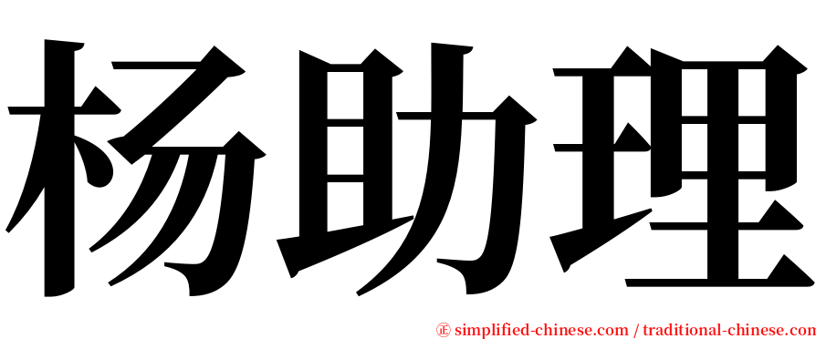 杨助理 serif font