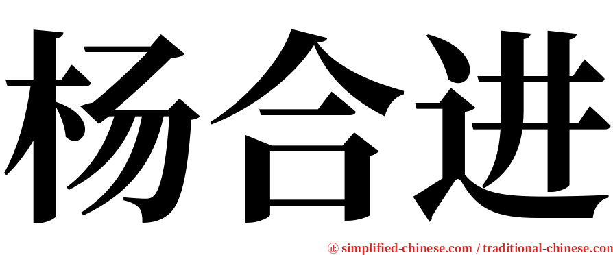 杨合进 serif font