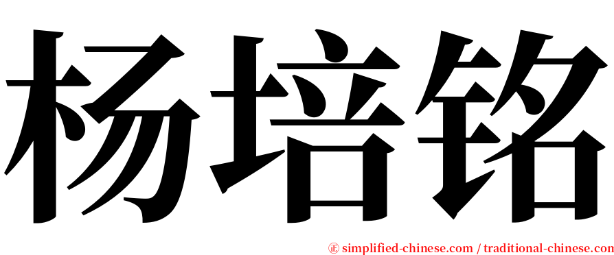 杨培铭 serif font
