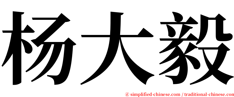 杨大毅 serif font