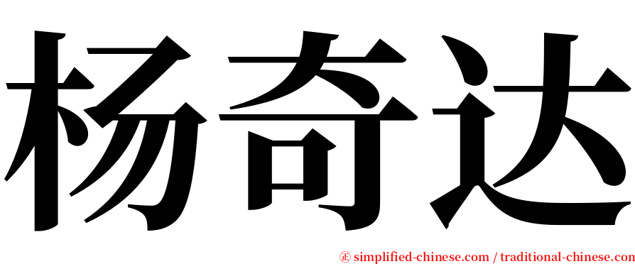 杨奇达 serif font