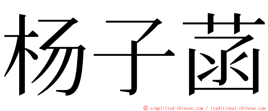杨子菡 ming font