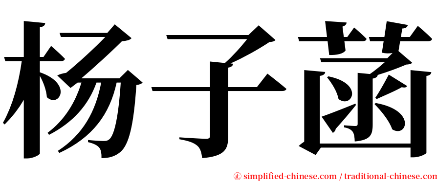 杨子菡 serif font