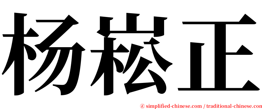 杨崧正 serif font