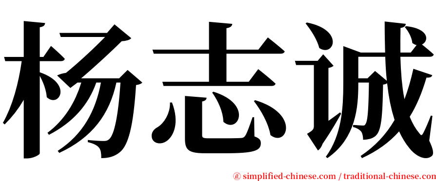 杨志诚 serif font