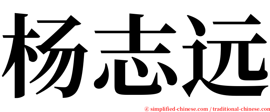 杨志远 serif font