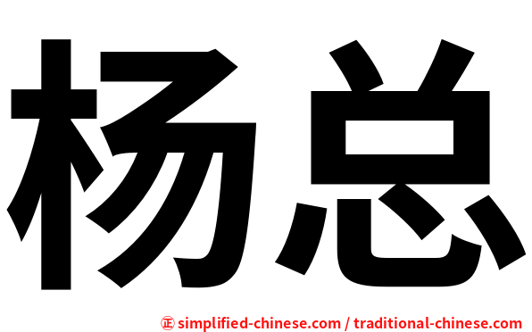 杨总