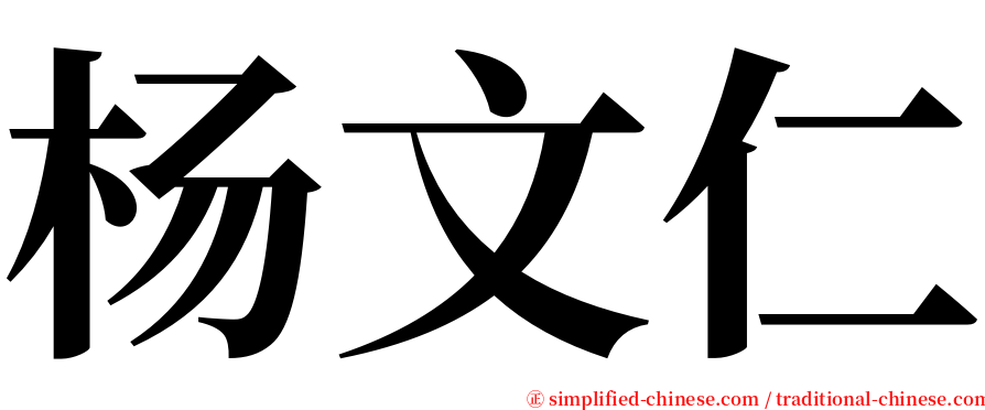 杨文仁 serif font