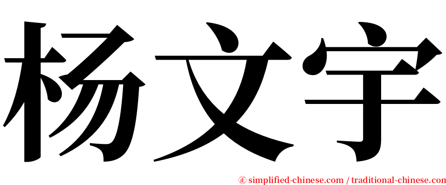 杨文宇 serif font